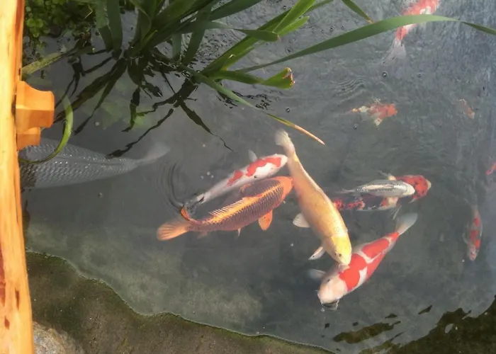 Residence Priska Racines